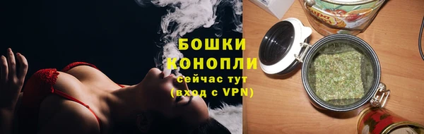 дживик Богданович